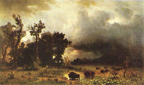 Buffalo Trail, Albert Bierstadt